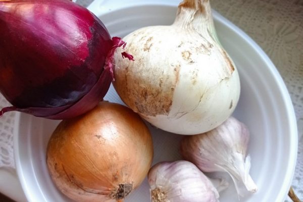 galerija_2024_darzenuizstade_11