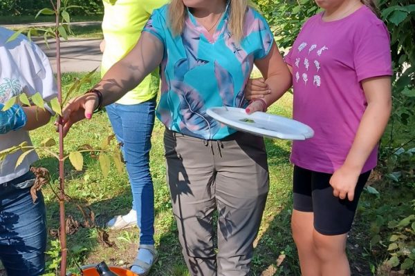 galerija_2024_projektsdarzs_6