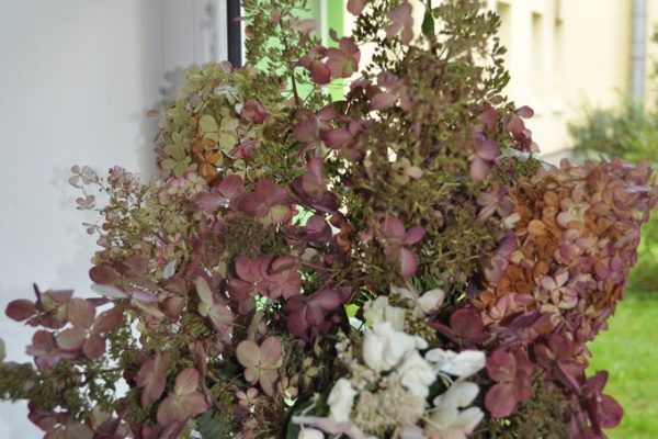 galerija_2024_rudensziedi_03