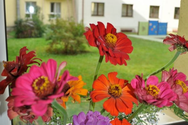 galerija_2024_rudensziedi_06