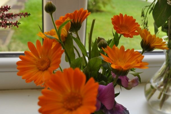 galerija_2024_rudensziedi_07