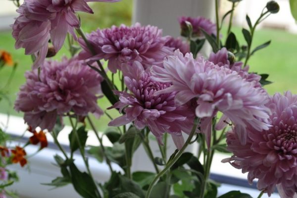 galerija_2024_rudensziedi_13