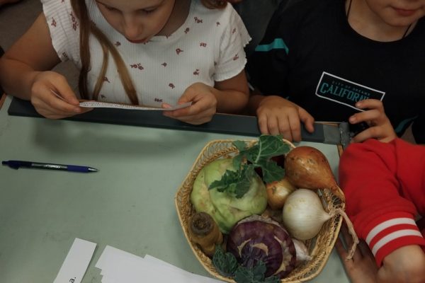 galerija_2024_mikeli_03