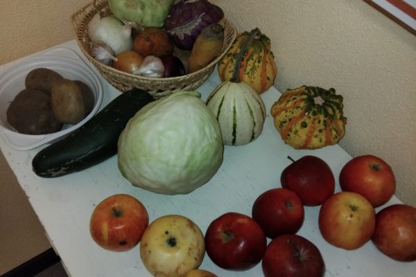 galerija_2024_mikeli_07