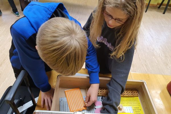 galerija_2024_somas2_14