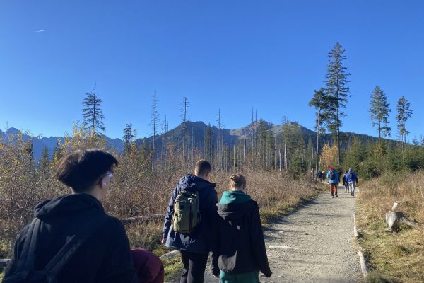 galerija_2024_digitalie_veidotaji_06