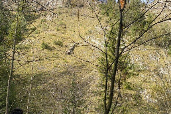 galerija_2024_digitalie_veidotaji_09