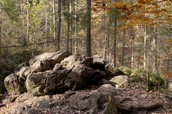 galerija_2024_digitalie_veidotaji_10