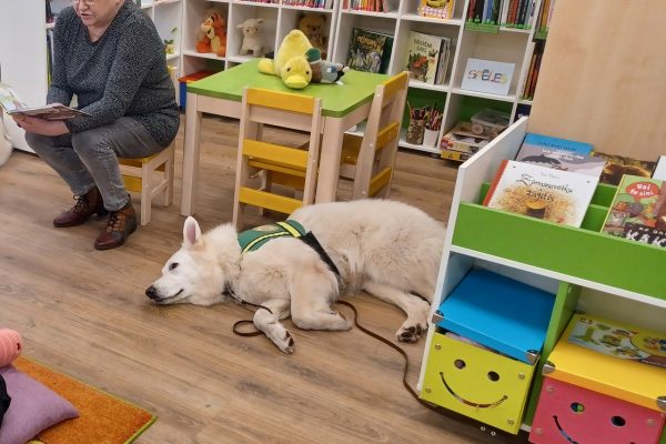 galerija_2025_bibliteeka_5