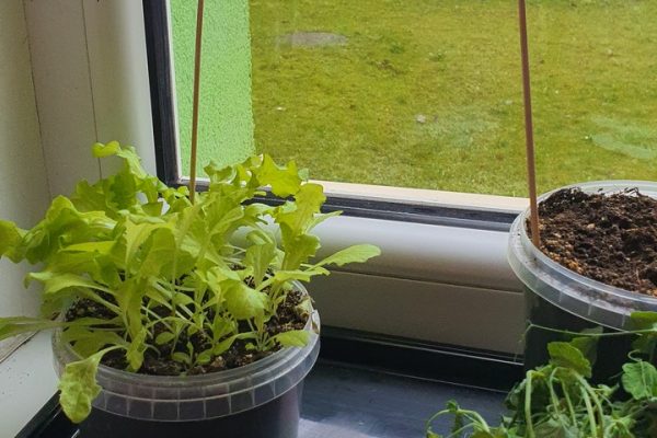 galerija_2025_lieldienassagaidot_07