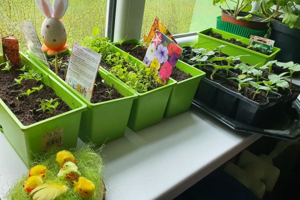 galerija_2025_lieldienassagaidot_18