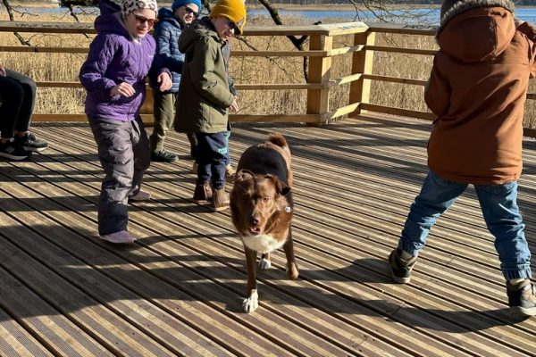 galerija_2025_pastaiga_2