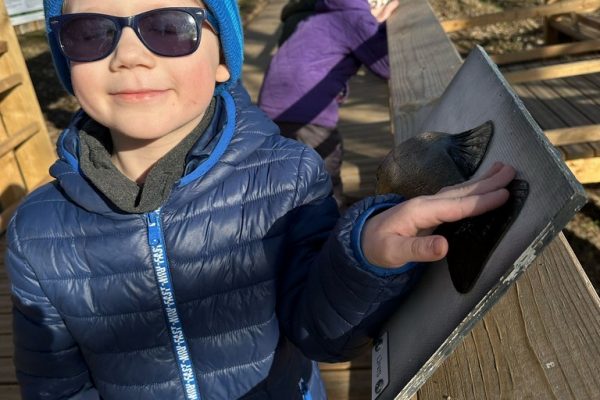 galerija_2025_pastaiga_4