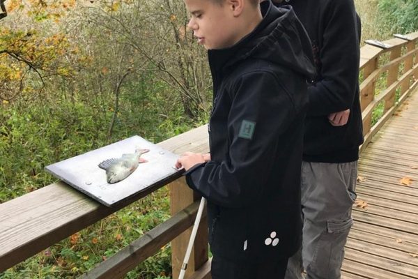 galerija_2025_karjera4_07