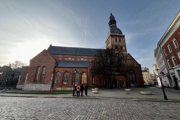 galerija_2025_macex_5