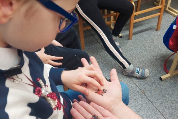 galerija_2025_sajutilatviju_09