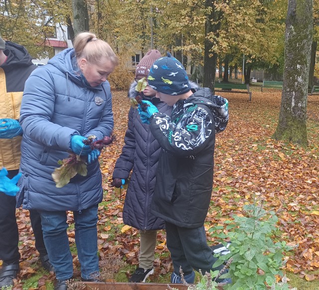 Skolotāja rāda skolēniem bieti ar lapām un sakni.