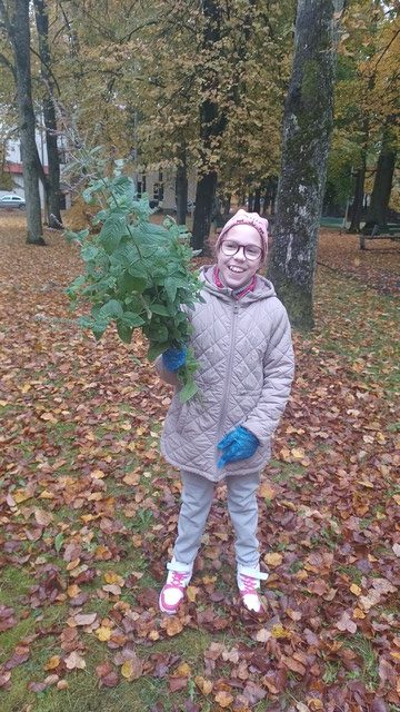 Smaidīga metene ar lielu zaļa auga saišķi.