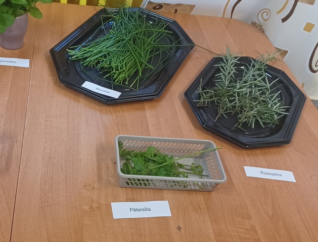 Uz galda četriem šķivji ar dažādiem zaļumiem - pie viena uzraksts Pētersīlis, pie otra - Rozmarīns, trešā - Maurlauki, ceturtā - Piparmētra.
