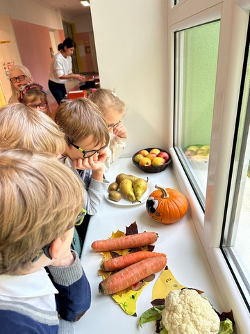 Skolēni skatās uz palodzes saliktos dārzeņus.