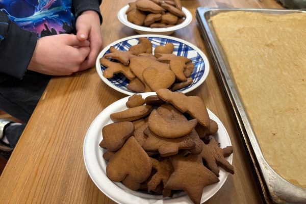 galerija_2025_piparkukas3_17