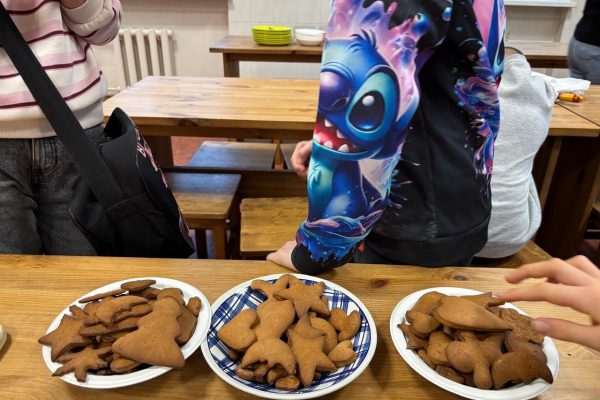 galerija_2025_piparkukas3_18