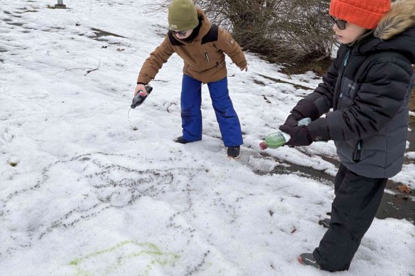 galerija_2026_sniegs_01