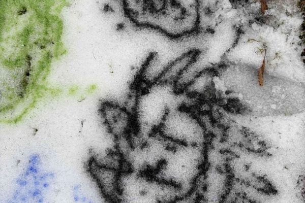 galerija_2026_sniegs_02