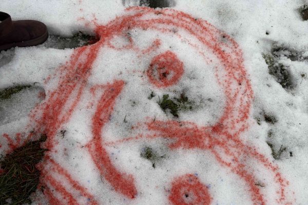 galerija_2026_sniegs_04