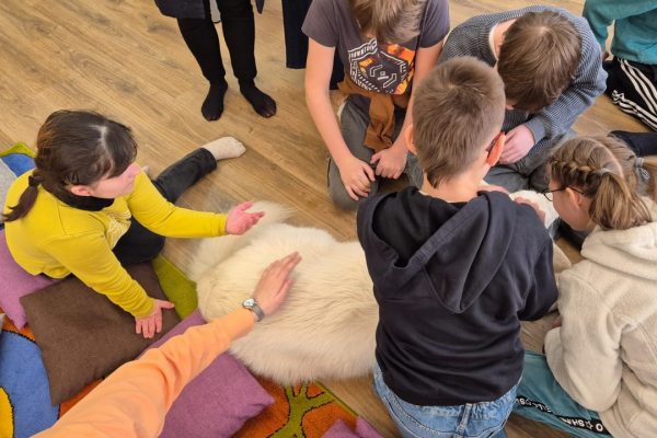 galerija_2026_lasi2_2