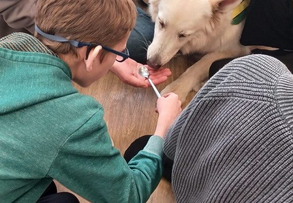 galerija_2026_lasi2_6