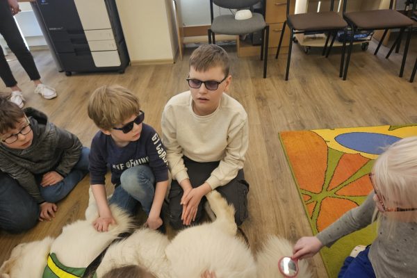 galerija_2026_lasi_24