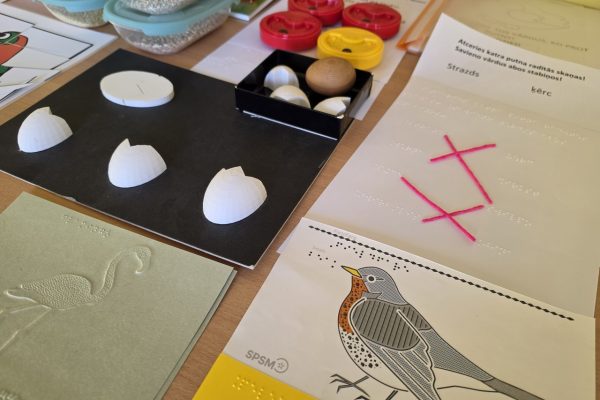 galerija_2026_metizstade_02