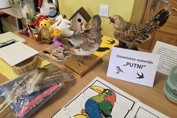 galerija_2026_metizstade_23