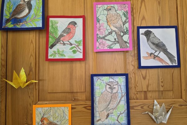 galerija_2026_metizstade_24