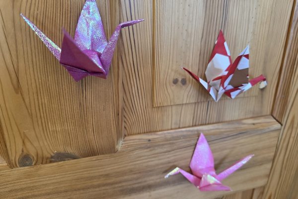 galerija_2026_metizstade_25