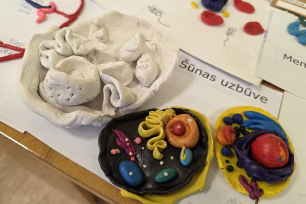 galerija_2026_metizstade_28