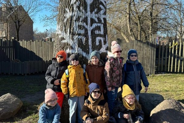 galerjia_2026_maize_01