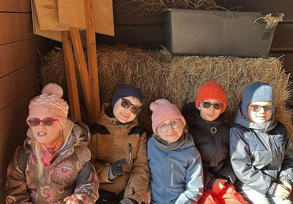 galerjia_2026_maize_04