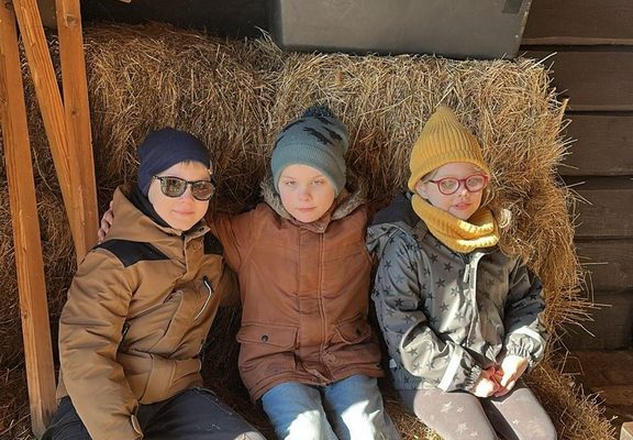 galerjia_2026_maize_05