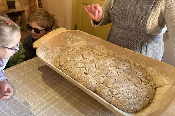 galerjia_2026_maize_09