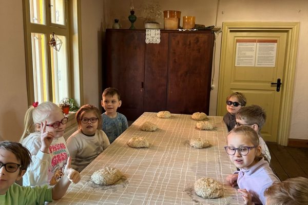 galerjia_2026_maize_10