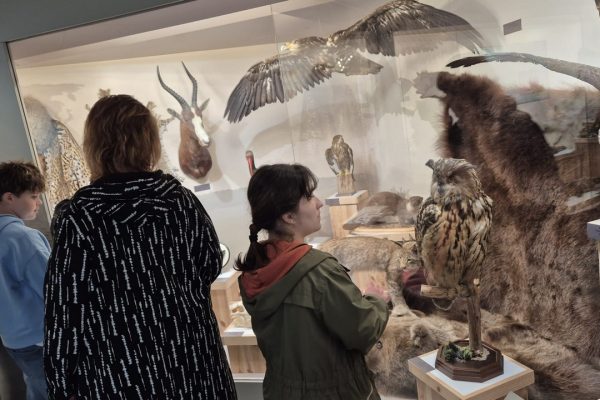 galerija_2026_vilnius_72