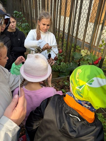 Skolēni pienākuši pie dobēm un iepazīstas ar ražu.