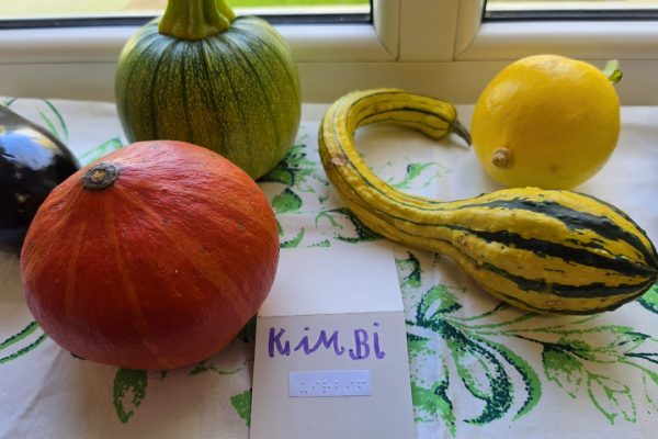 galerija_2026_rudens_11