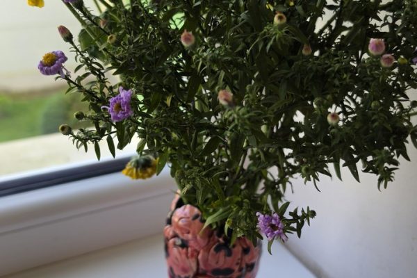 galerija_2026_rudens_12