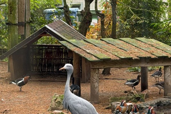 galerija_2026_zoo_17