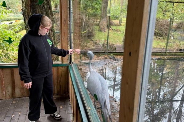 galerija_2026_zoo_19